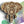 Load image into Gallery viewer, 3D Elephant SVG DXF 4 Layer - Animal Svg-Rishasart
