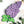 Load image into Gallery viewer, 3D Flower SVG DXF 6 Layer - Lilac Svg-Rishasart
