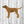 Load image into Gallery viewer, 3D Dog SVG Bundle DXF  - Pet Svg-Rishasart
