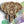 Load image into Gallery viewer, 3D Elephant SVG DXF 4 Layer -  Animal Svg-Rishasart
