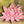 Load image into Gallery viewer, 3D Lotus SVG DXF 4 Layer - Flower Svg 3D-Rishasart
