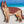 Load image into Gallery viewer, 3D German Shepherd SVG DXF 5 Layer - Dog Svg-Rishasart
