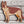 Load image into Gallery viewer, 3D German Shepherd SVG DXF 5 Layer - Dog Svg-Rishasart
