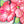 Load image into Gallery viewer, 3D Flower SVG DXF Design - Hibiscus Svg-Rishasart
